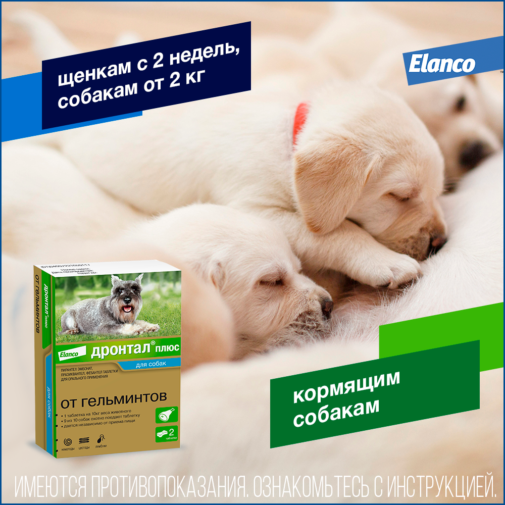 Ветеринарные препараты для собак купить с доставкой | Интернет-зоомагазин  PetFood.ru