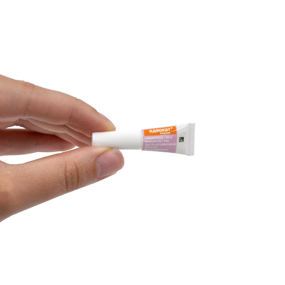 14_Advocate_cat_from4kg_1pip_pipette