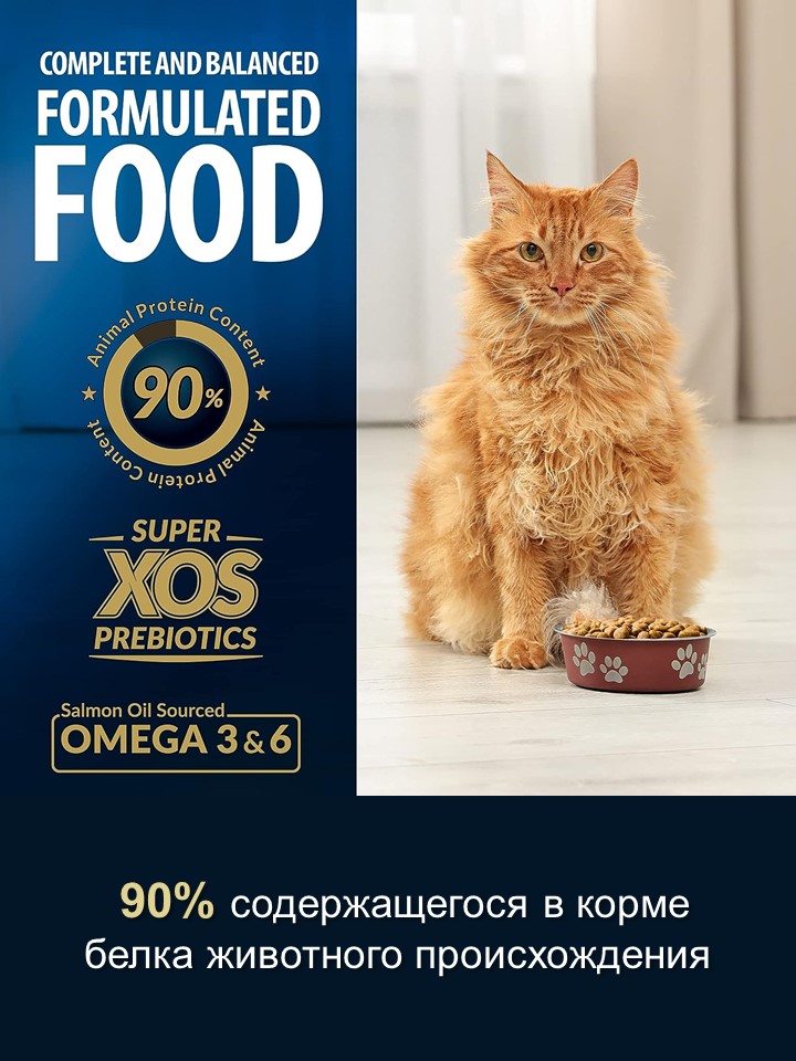 БИ_000275_5