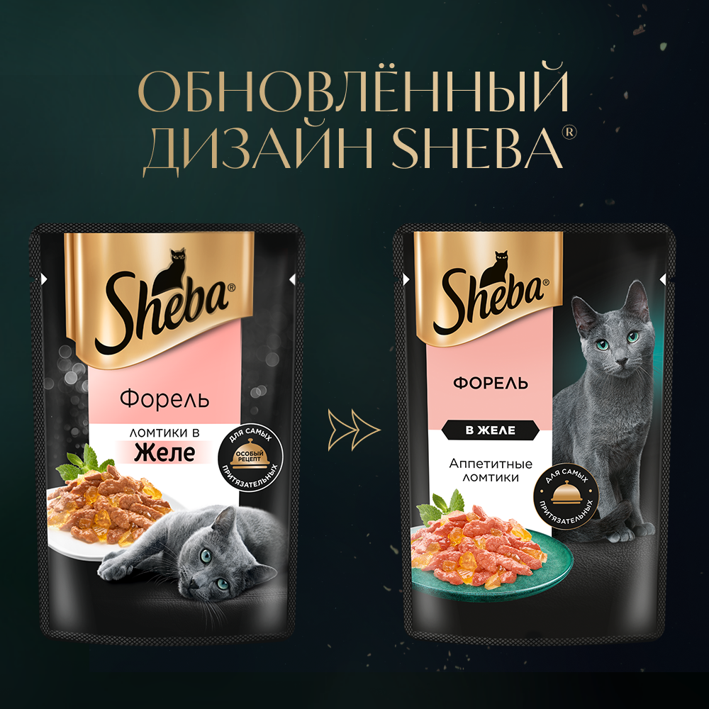 sheba_форель в желе