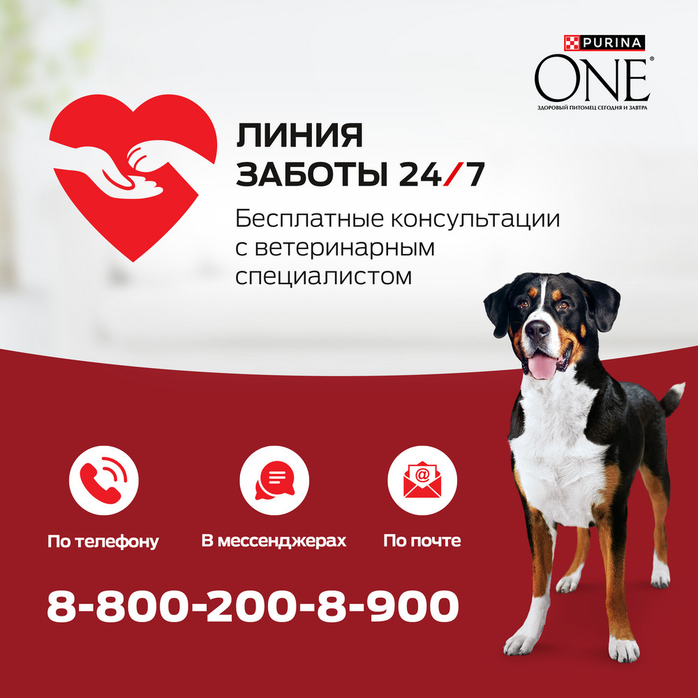 afdb3b11-6f2a-4649-a736-9b444a9b7e1f (2)