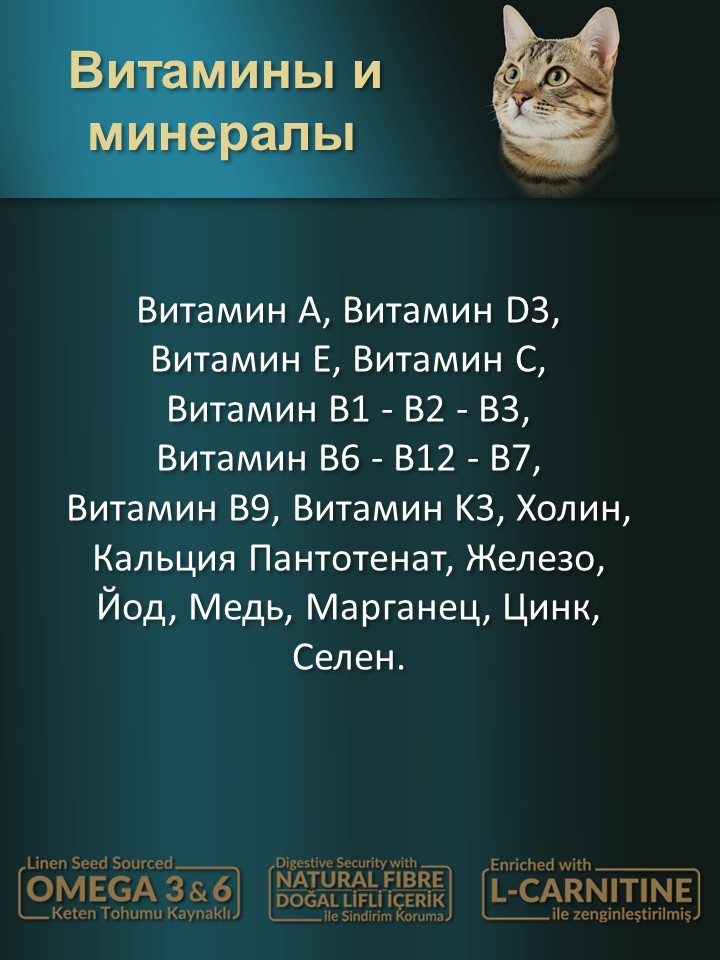 БИ_000278_3