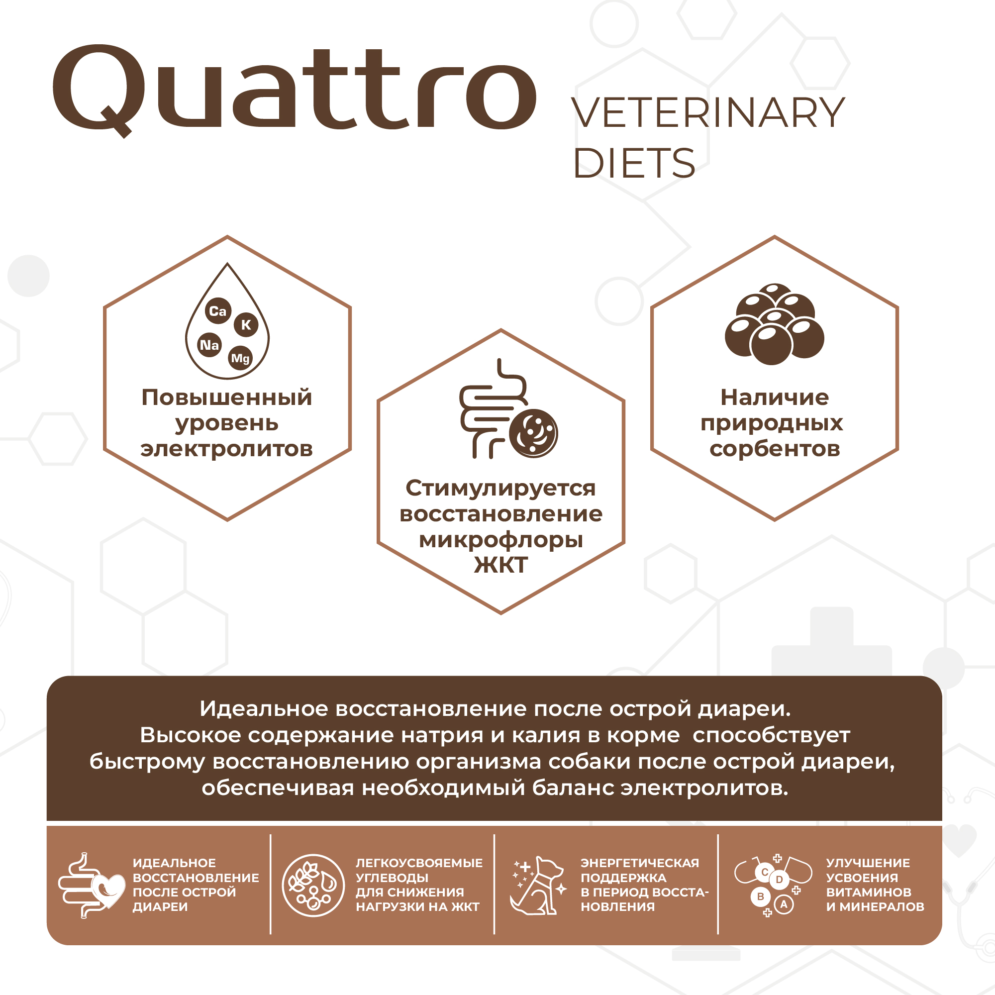 Quattro_Vet_11SKU_cards_2000px-82