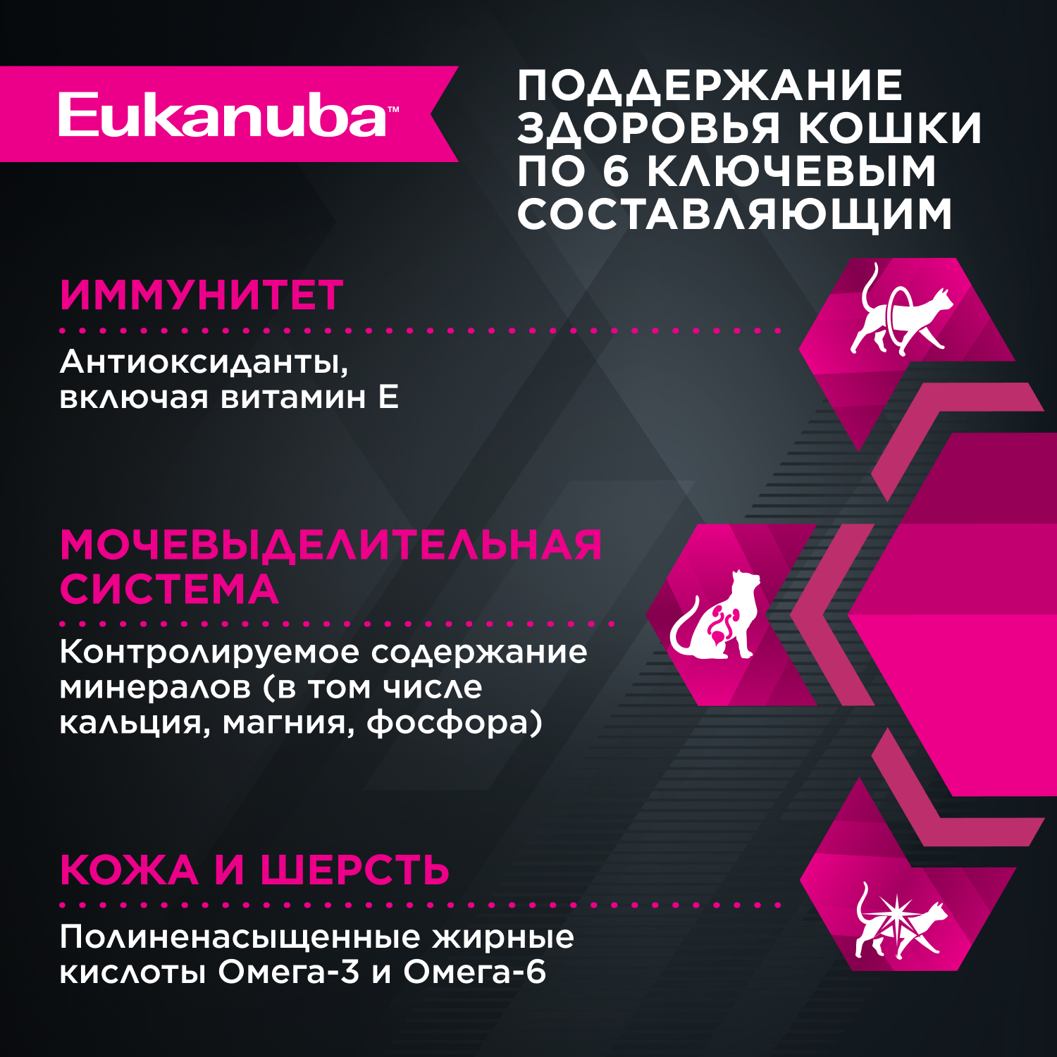 2-CAT-DRY-STERILISED_WEIGHT_CONTROL-1x1