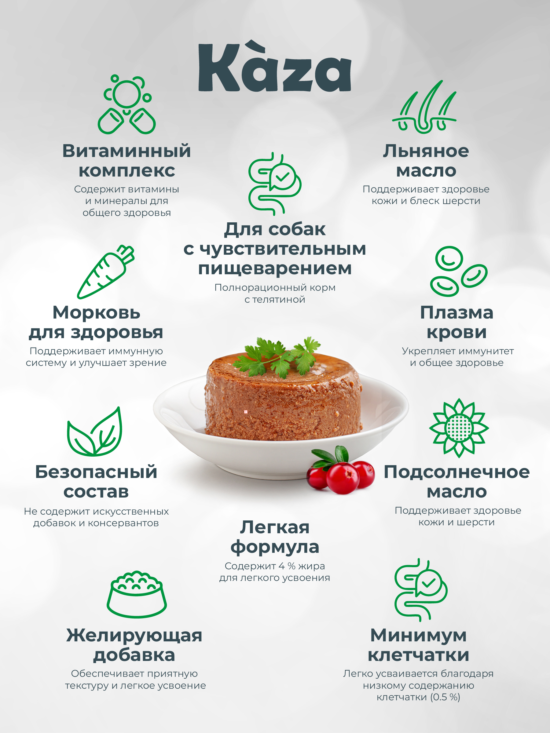 Kaza_card_USP-02