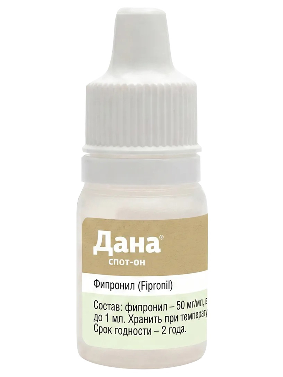 кошки и собаки - 2