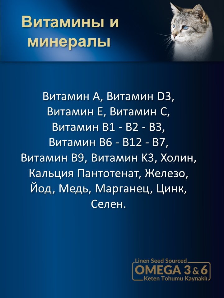 БИ_000275_3