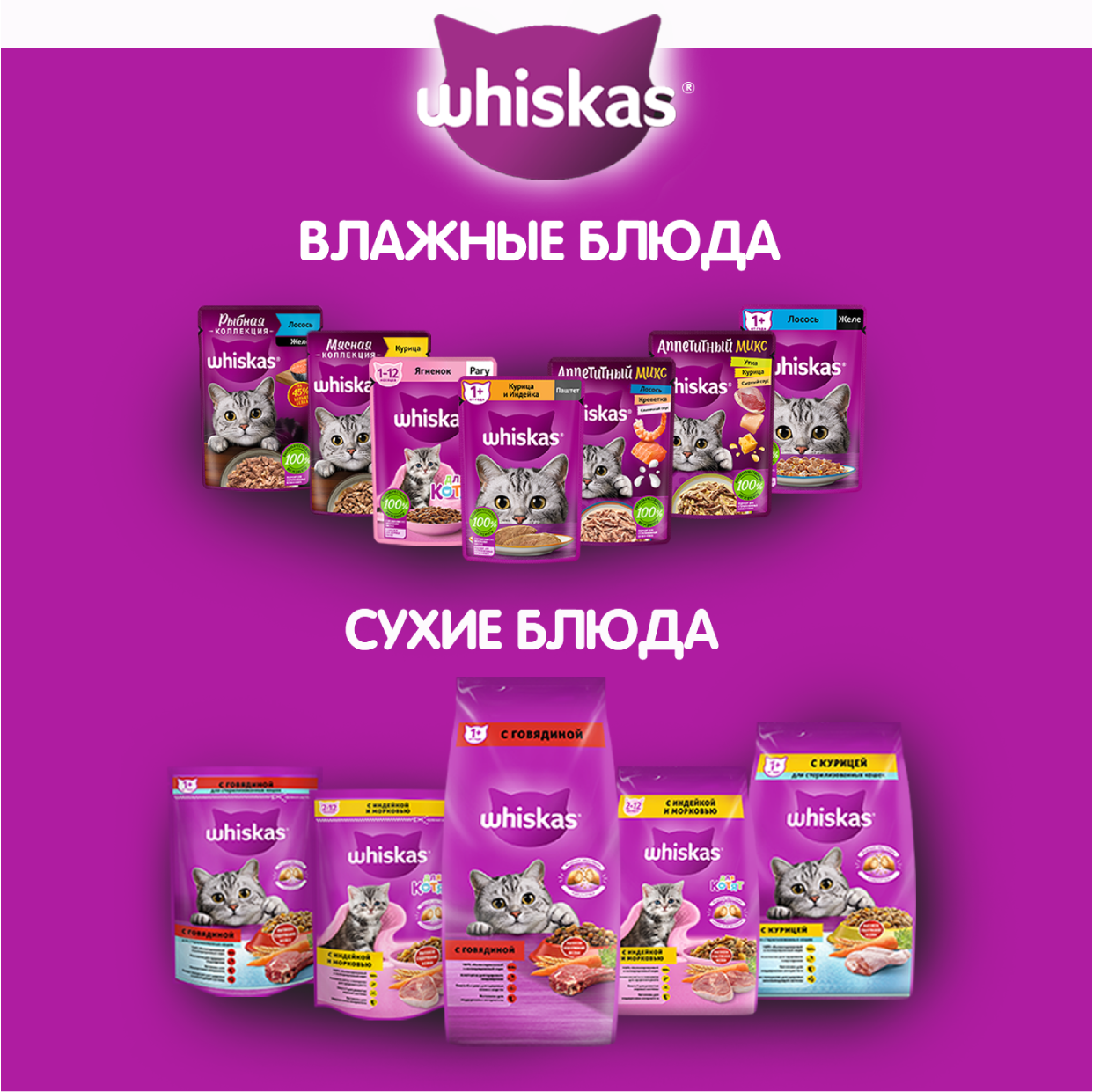 WHS_Kitten_2-12_Cards_2023.04.12_05 (3)