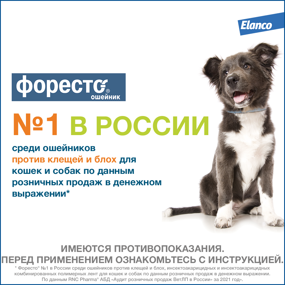 14.Foresto gold big dog_best