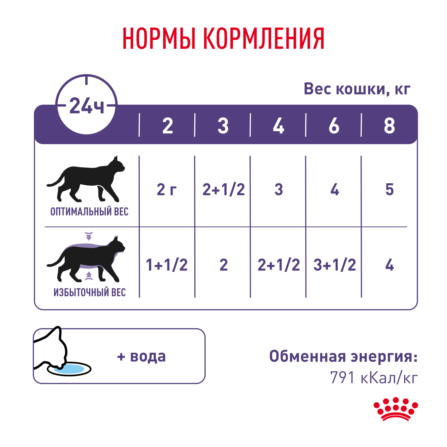 Cat_Neutered_Balance_8