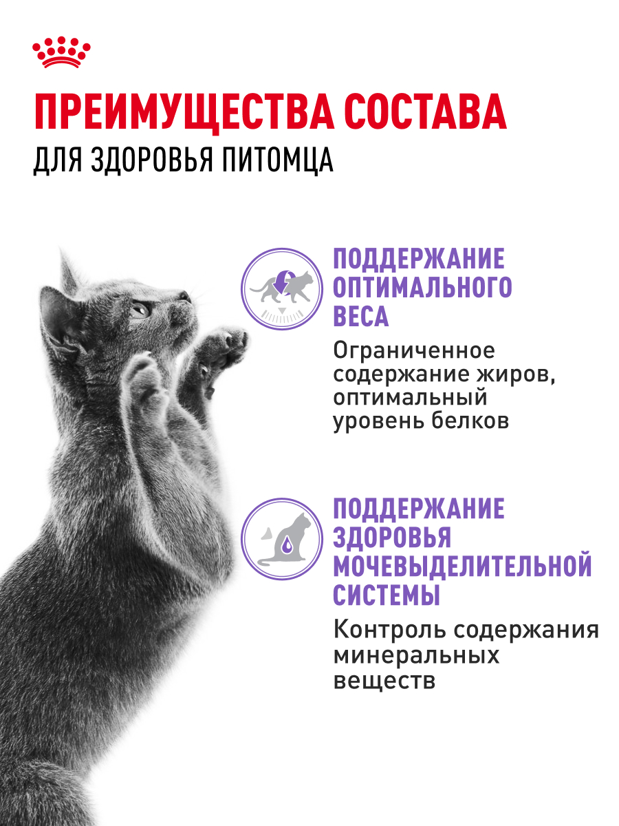 9003579311301 (3)