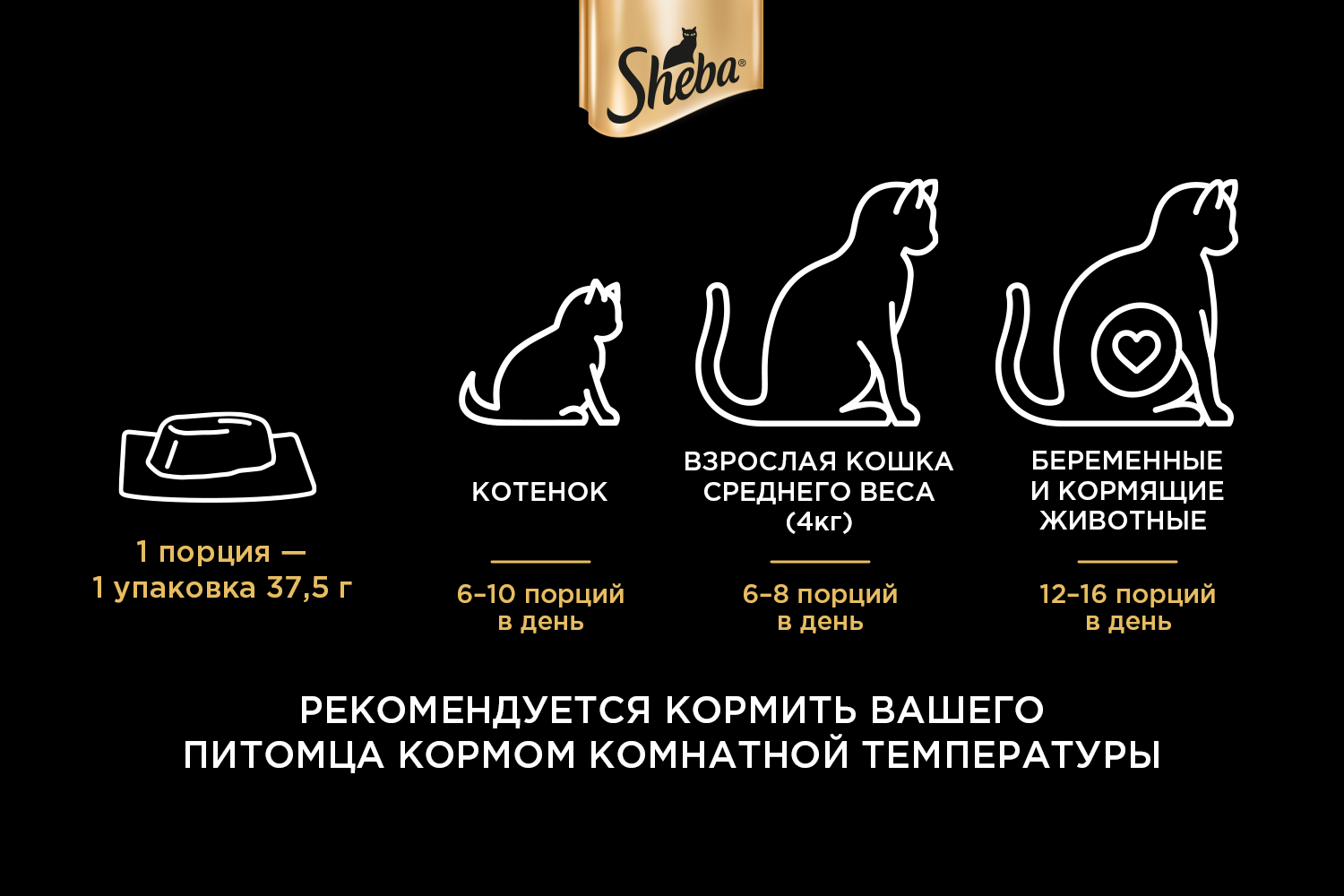 Pic_Sheba-2picters (1)