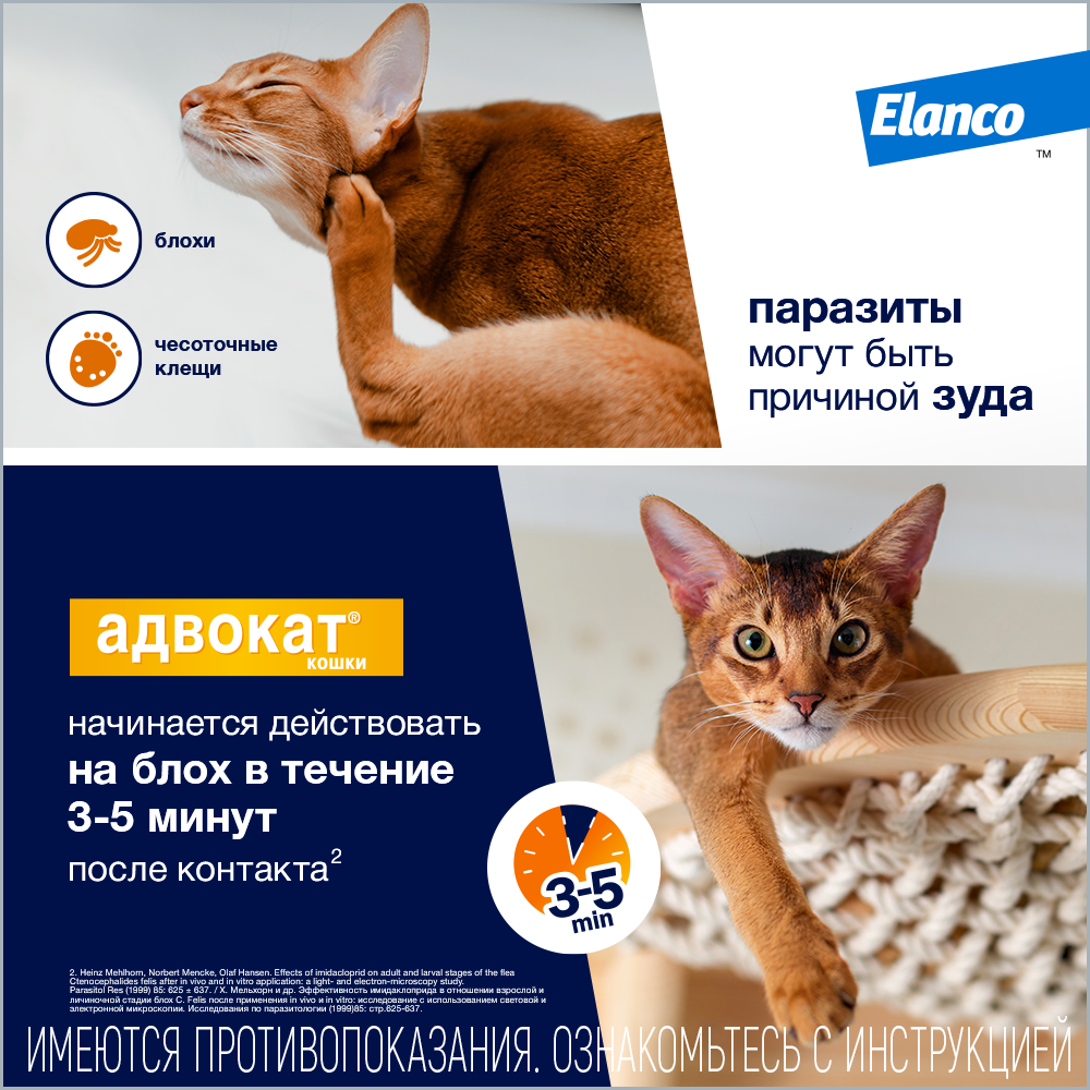 5_Advocate_cat_ticks