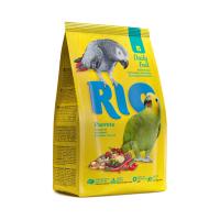 RIO_feed_parrots_face