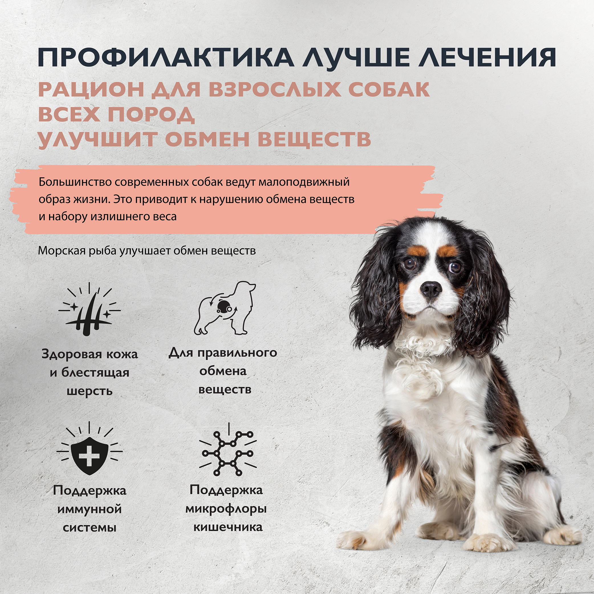 dog_adult_sensetiva_metabolic_all breeds-02