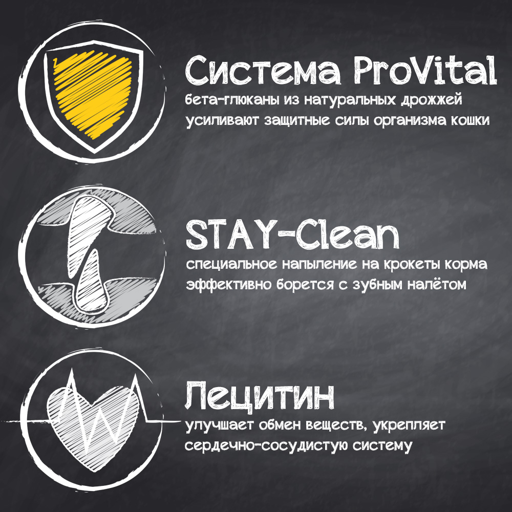 Leonardo Senior info1