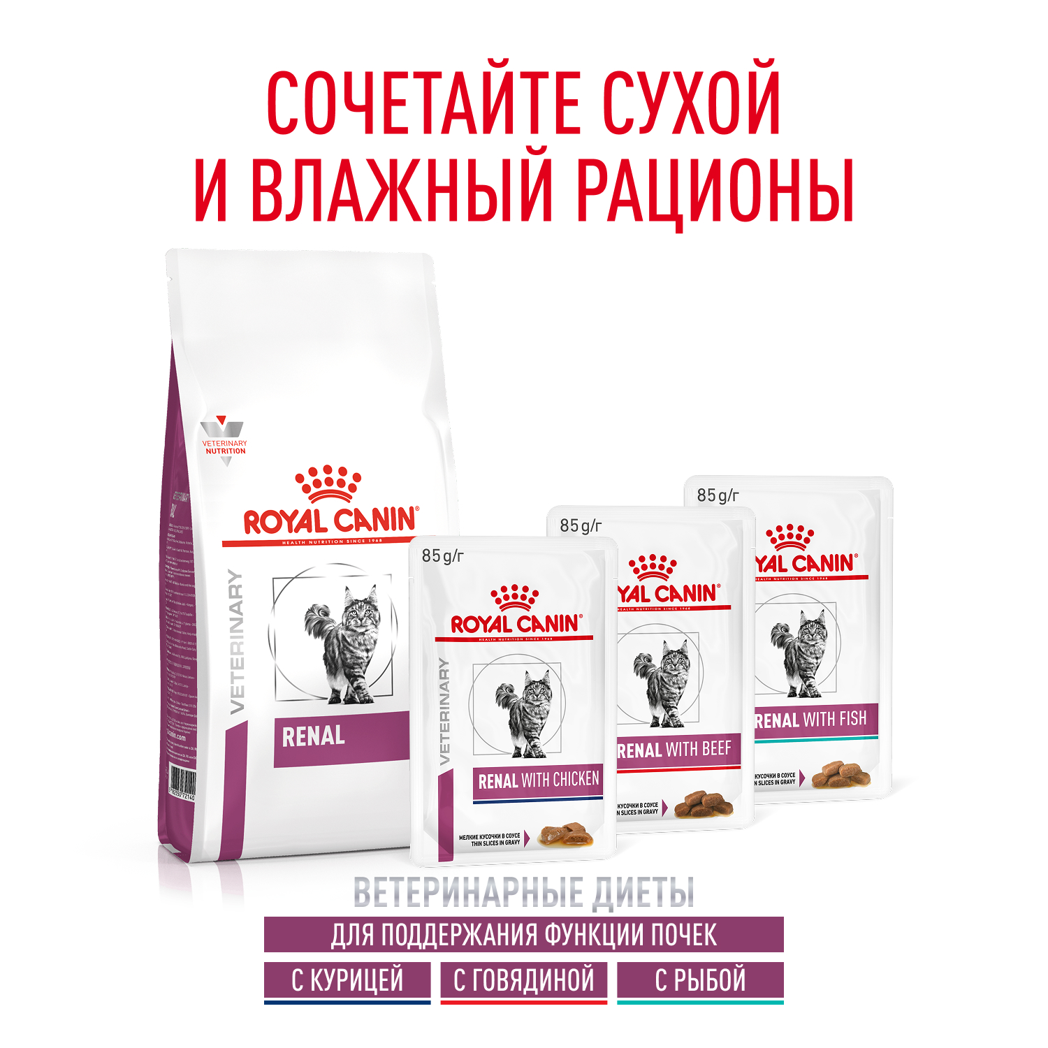 11_Cat_Renal_multipack_1200x1200