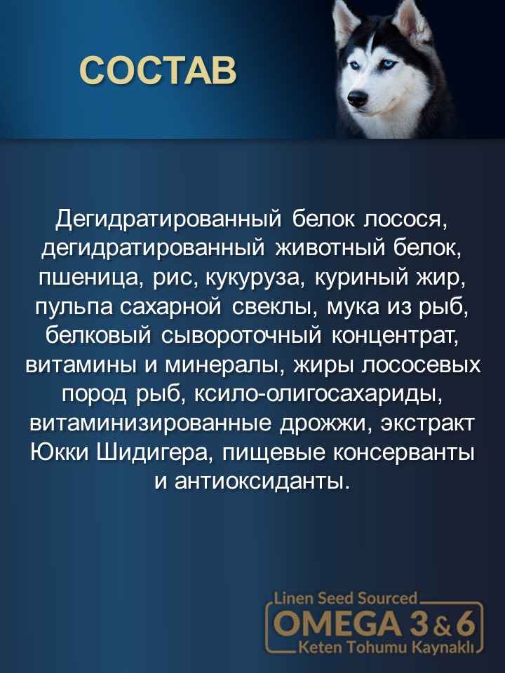 БИ_000255_2