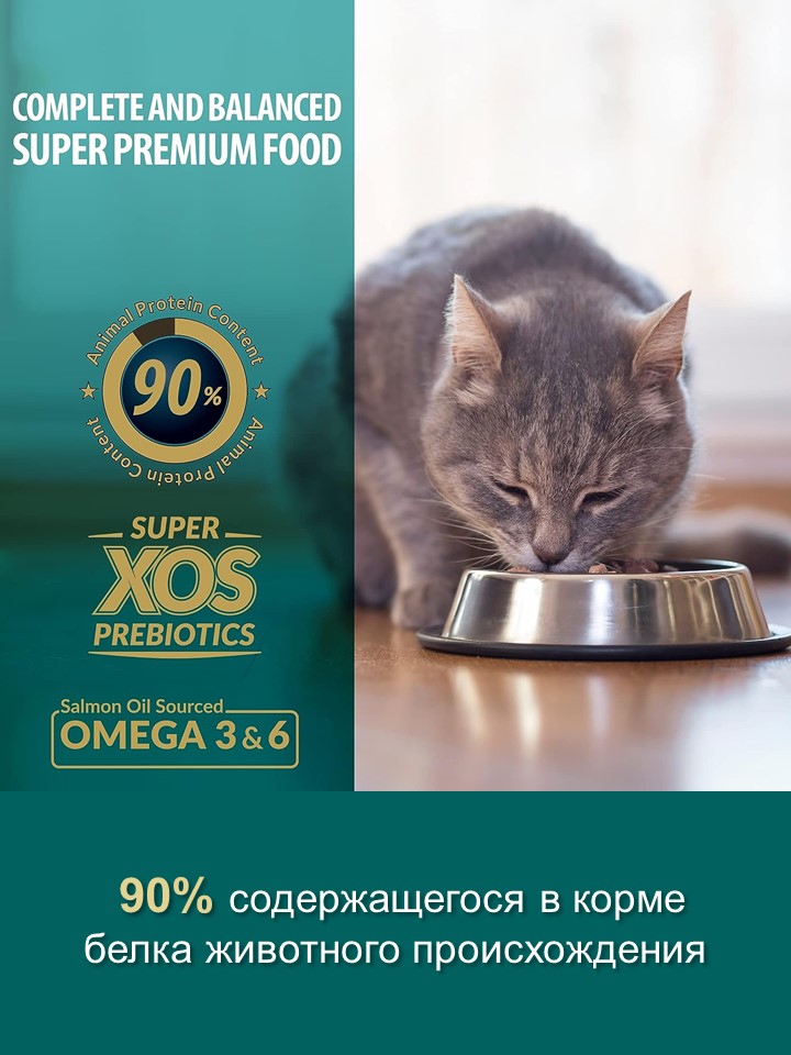 БИ_000279_5