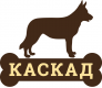 Каскад Каскад