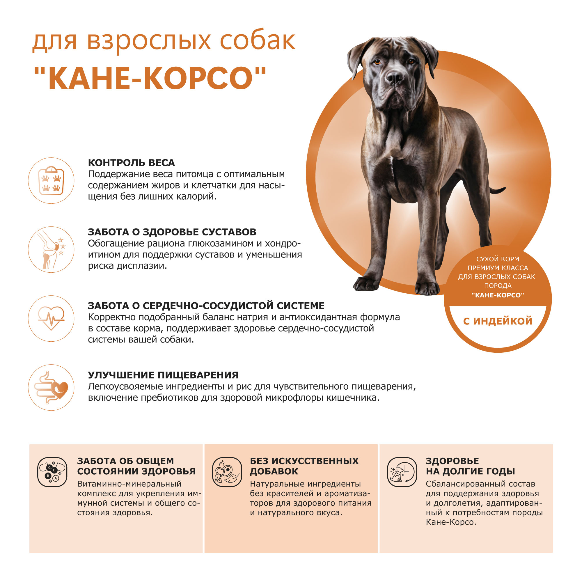 pic-2-индейка (8)