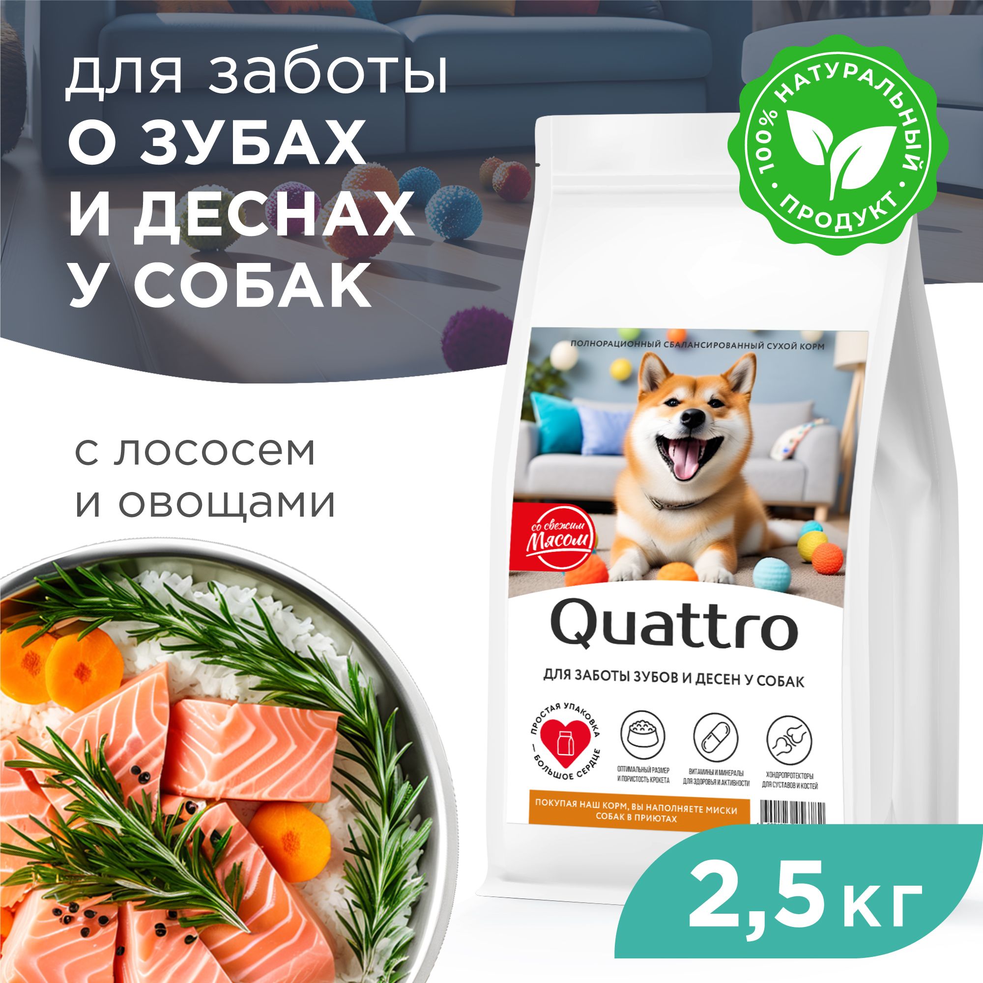 Quattro корм для собак средних пород, забота о зубах и деснах, с лососем (12 кг)