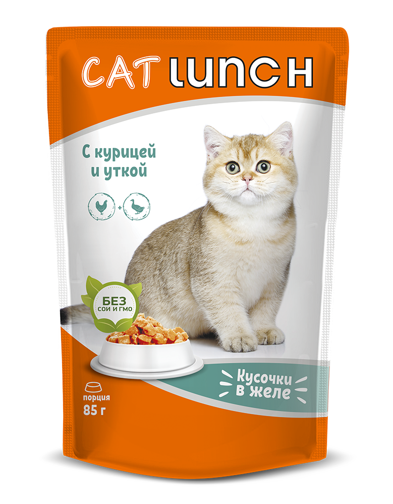 Cat lunch корм для кошек. Кэт ланч пауч. Кэт ланч консервы для кошек. Влажный корм для кошек.