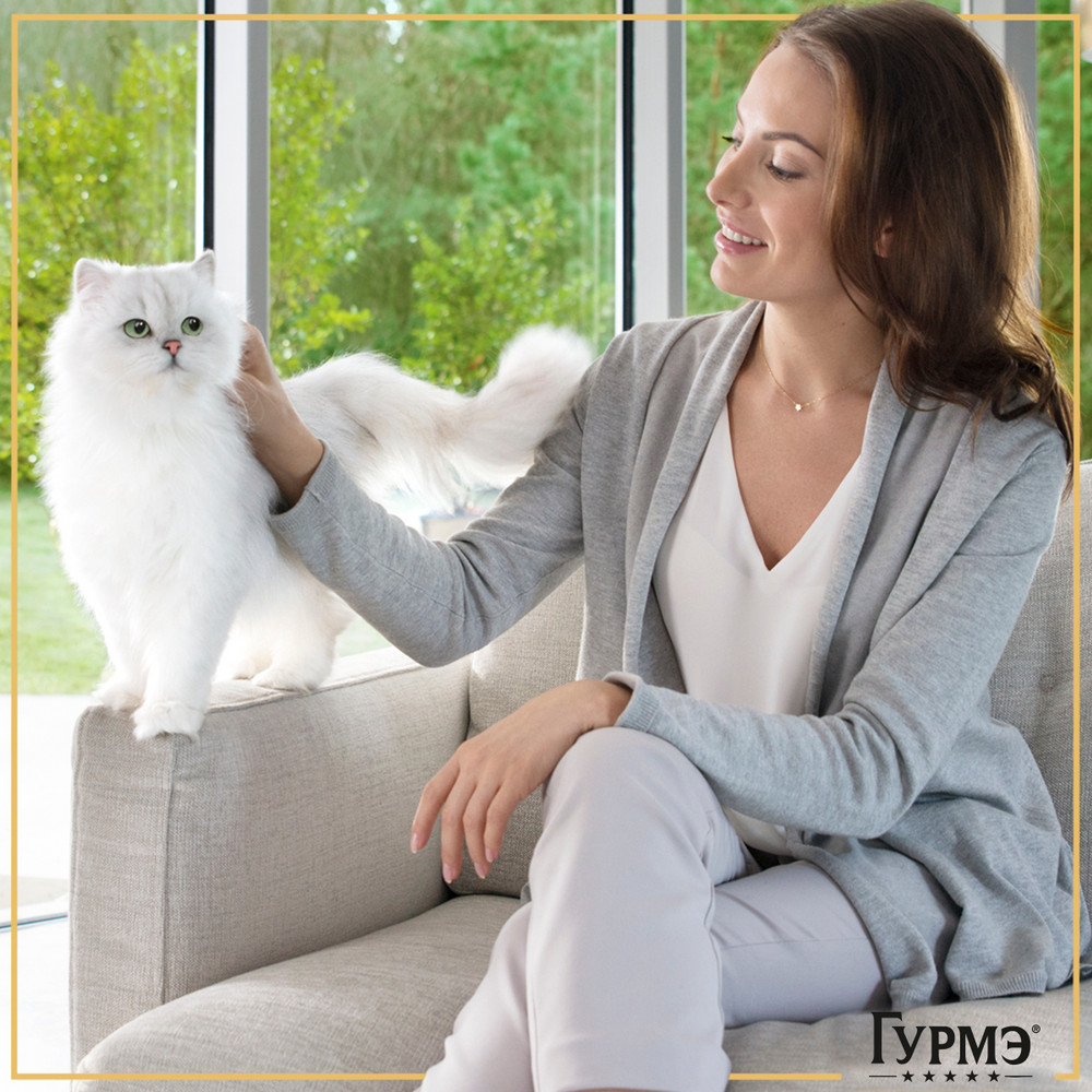 56cc8d35-6bb4-46b6-8952-1b382976630f