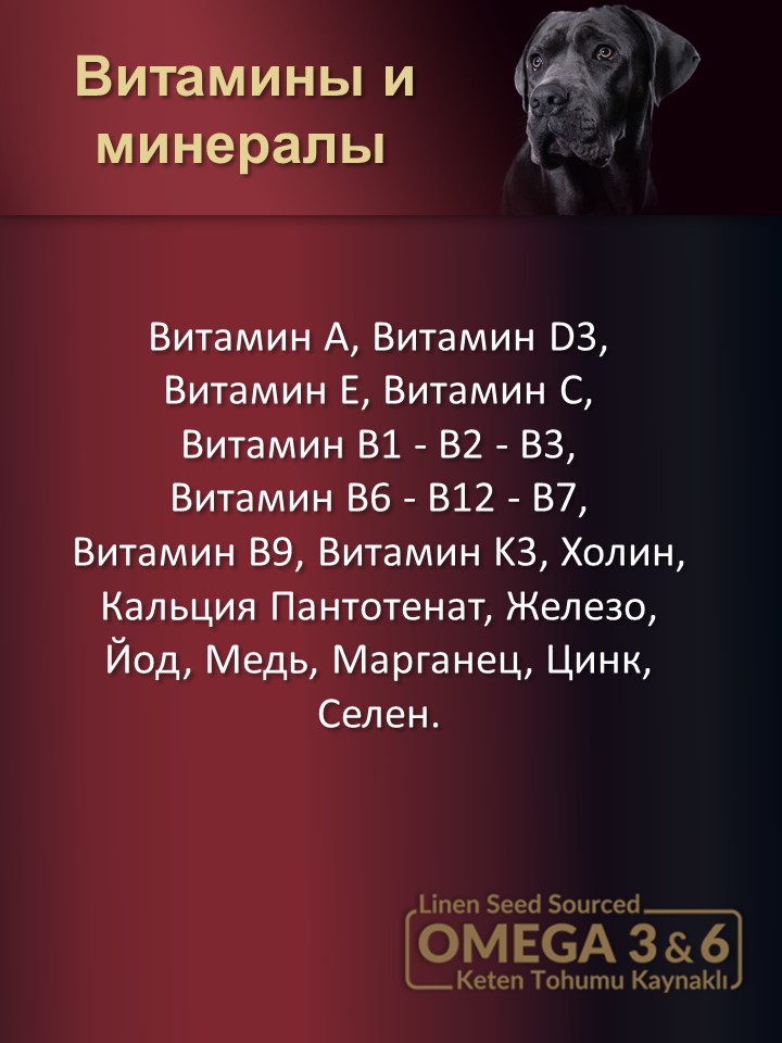 БИ_000250_3