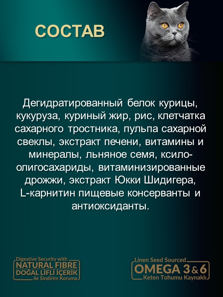 БИ_000272_2
