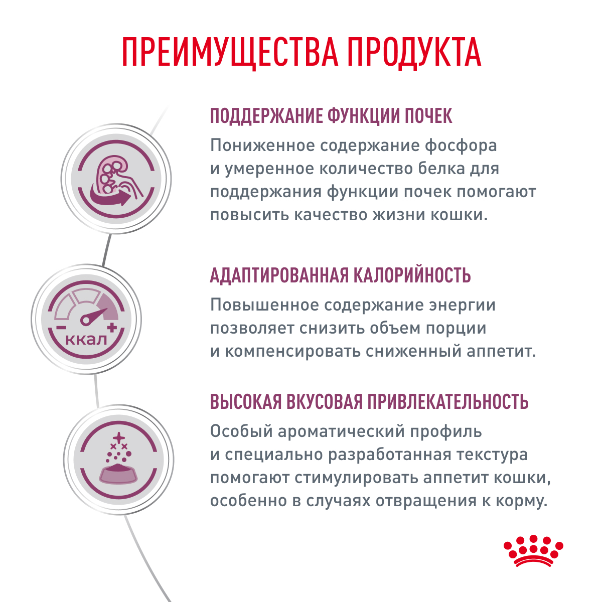 5_Cat_Renal_Chiken