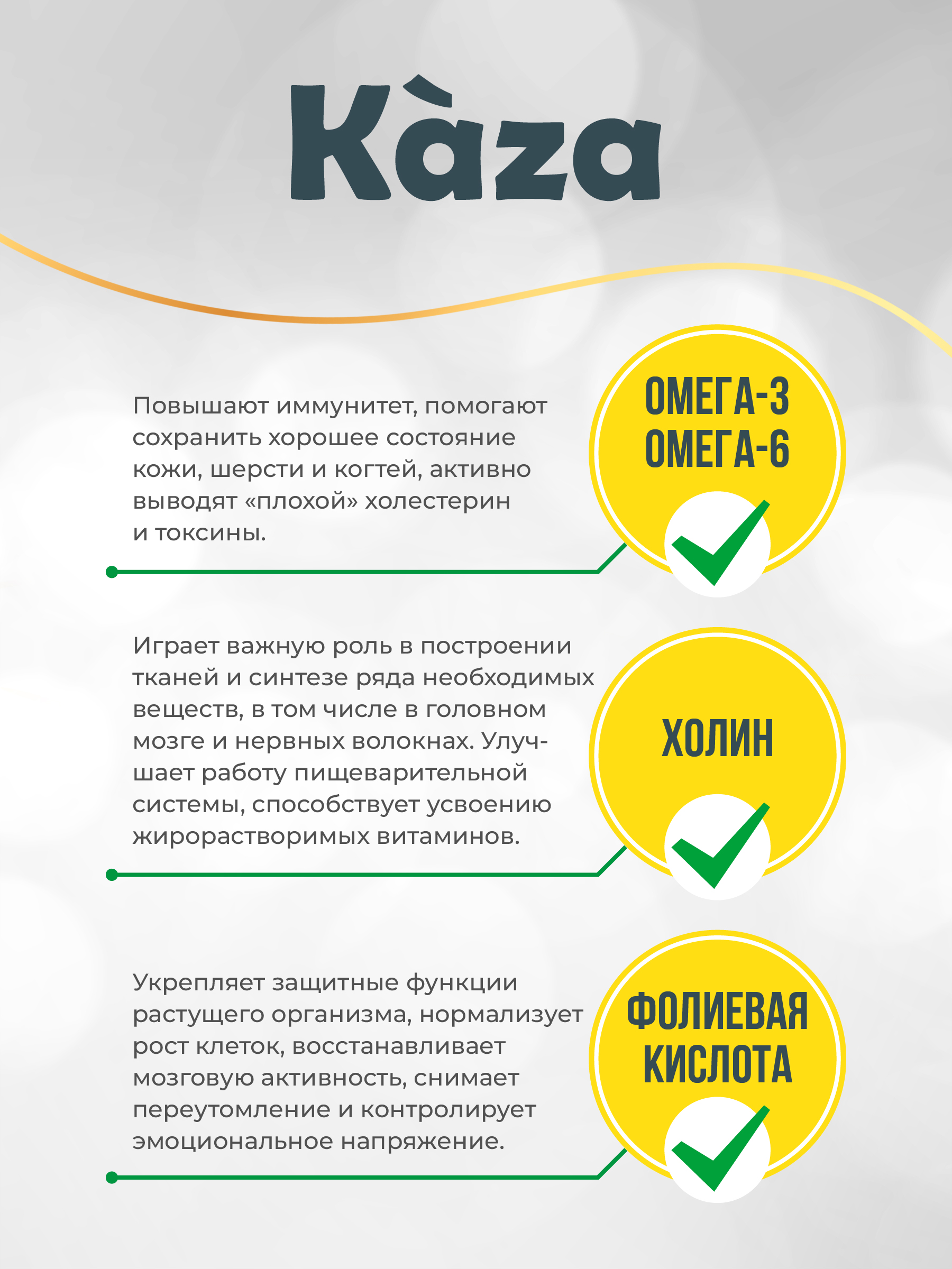 Kaza_card4