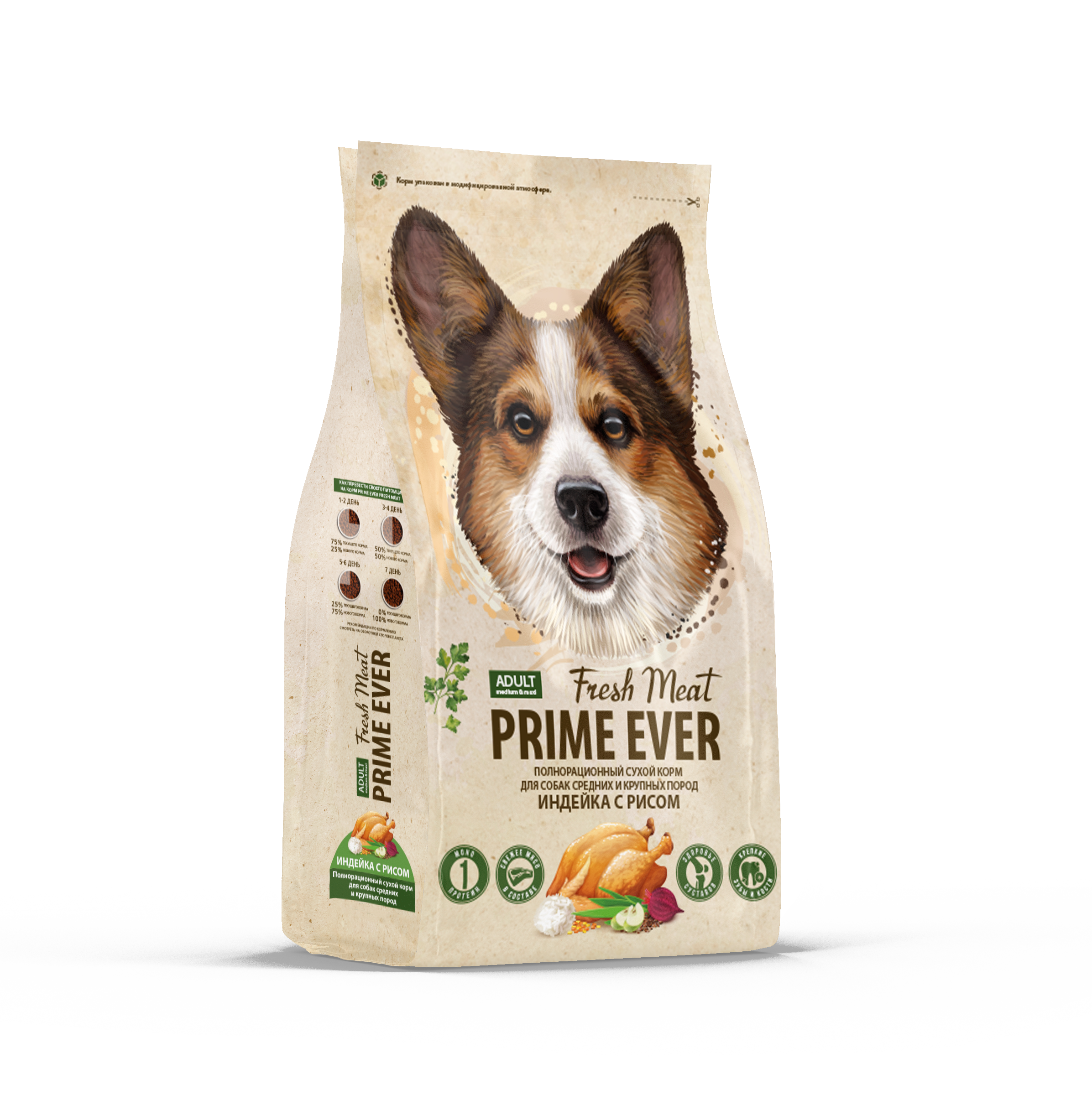 Dog MEDUIM&MAXI_бок