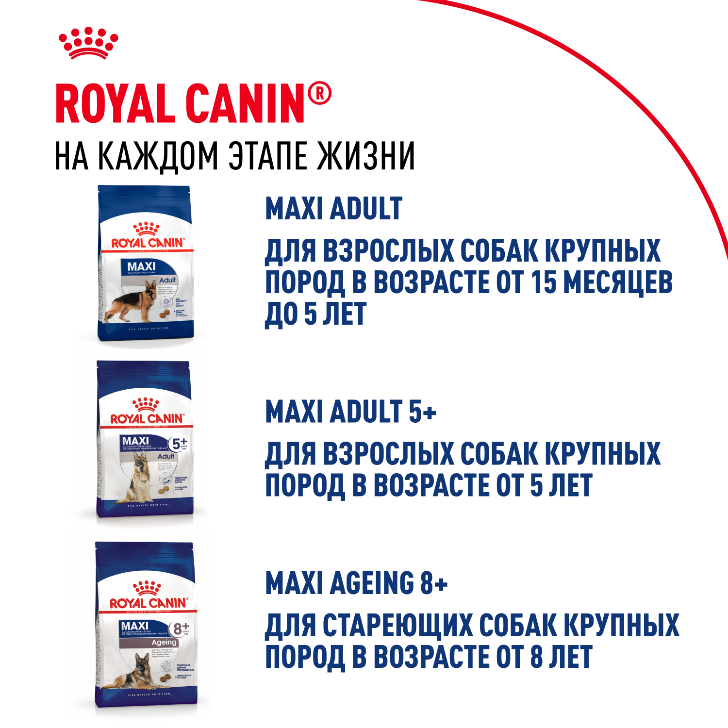 30061500R2_10_MAXI%20PUPPY_Up-sell_1x1