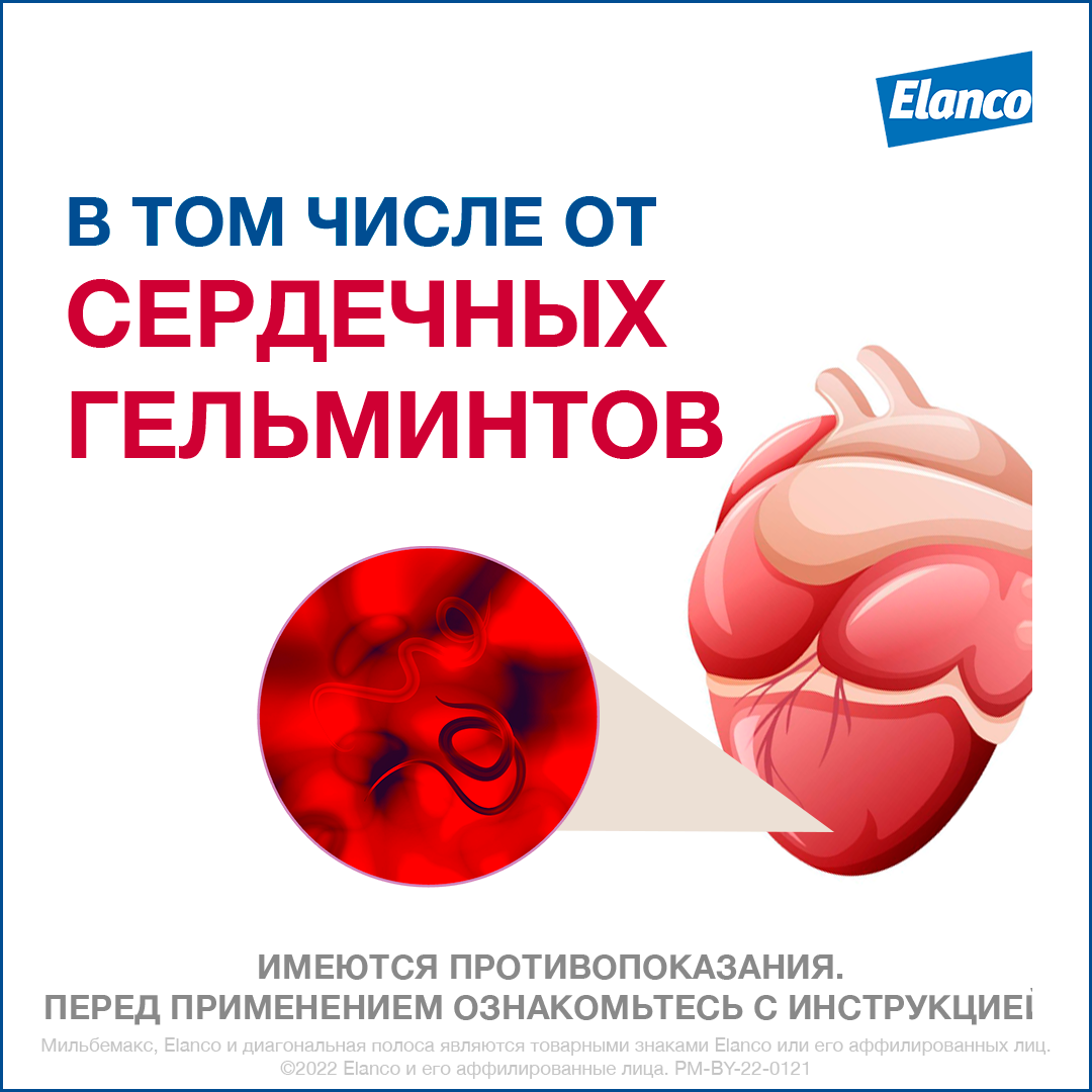 4. Milbemax_small dogs_rich_4_heart worms