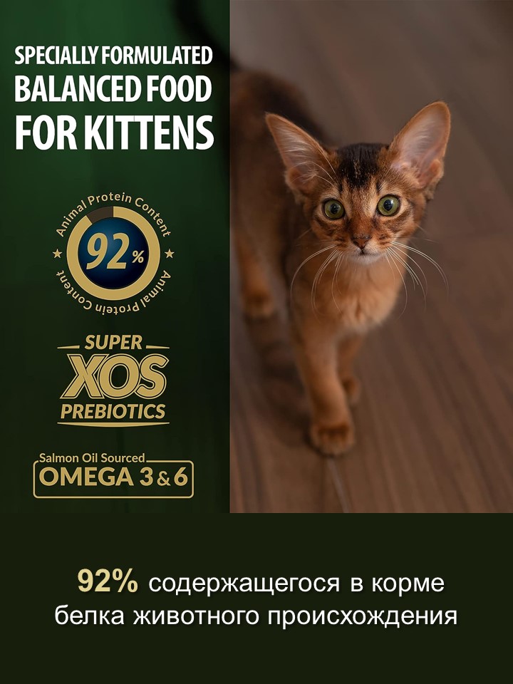 БИ_000267_5