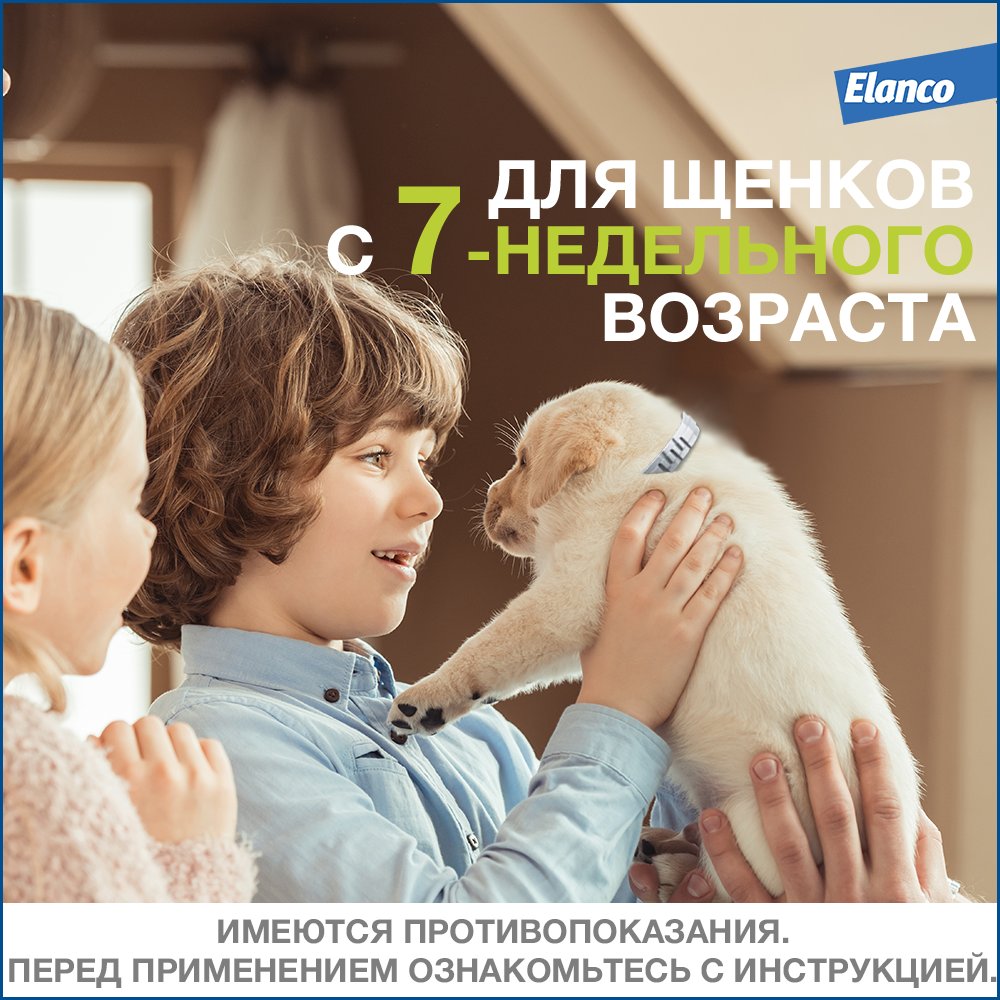 12.Foresto gold big dog_safety