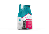 KITTEN SUPORT CAT - FRONT copy