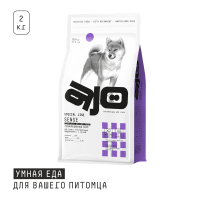 MP_Cards _AJO_Sense _2