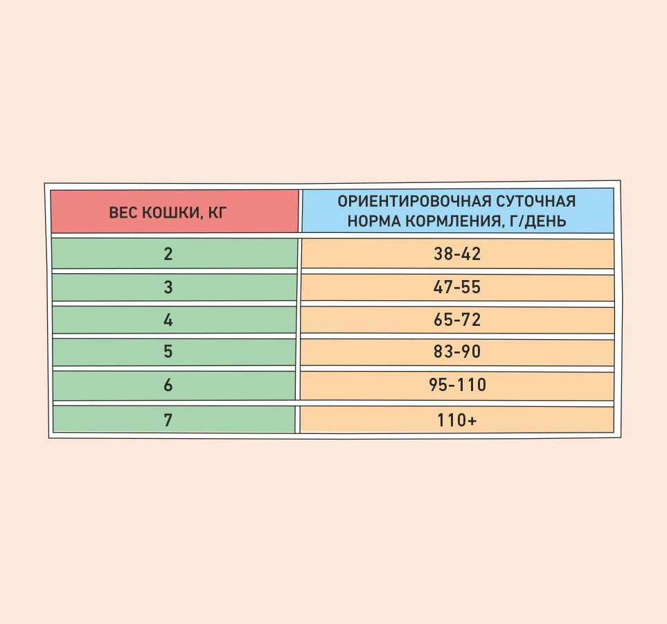 4650096352260_3