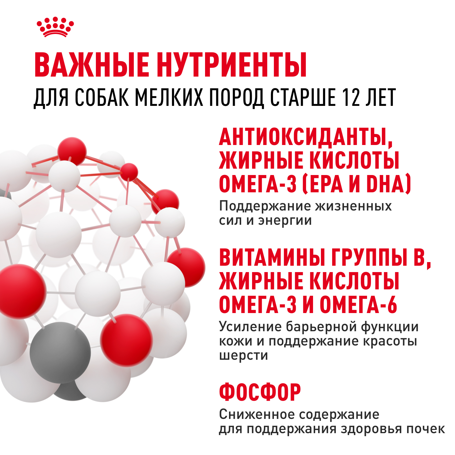 6-MINI AGEING 12+ sauce