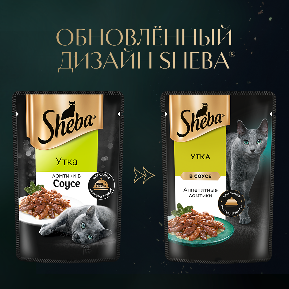 sheba_утка в соусе