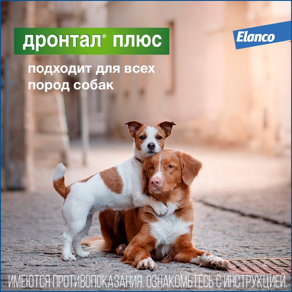 5. Drontal dog_all (2)