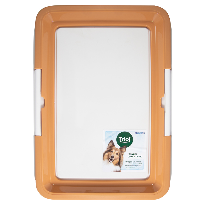 good-1343569c-8f23-11ec-a58e-b07b25e4d639