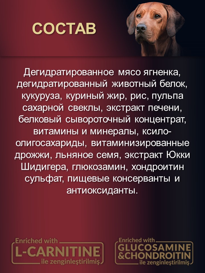 БИ_000252_2