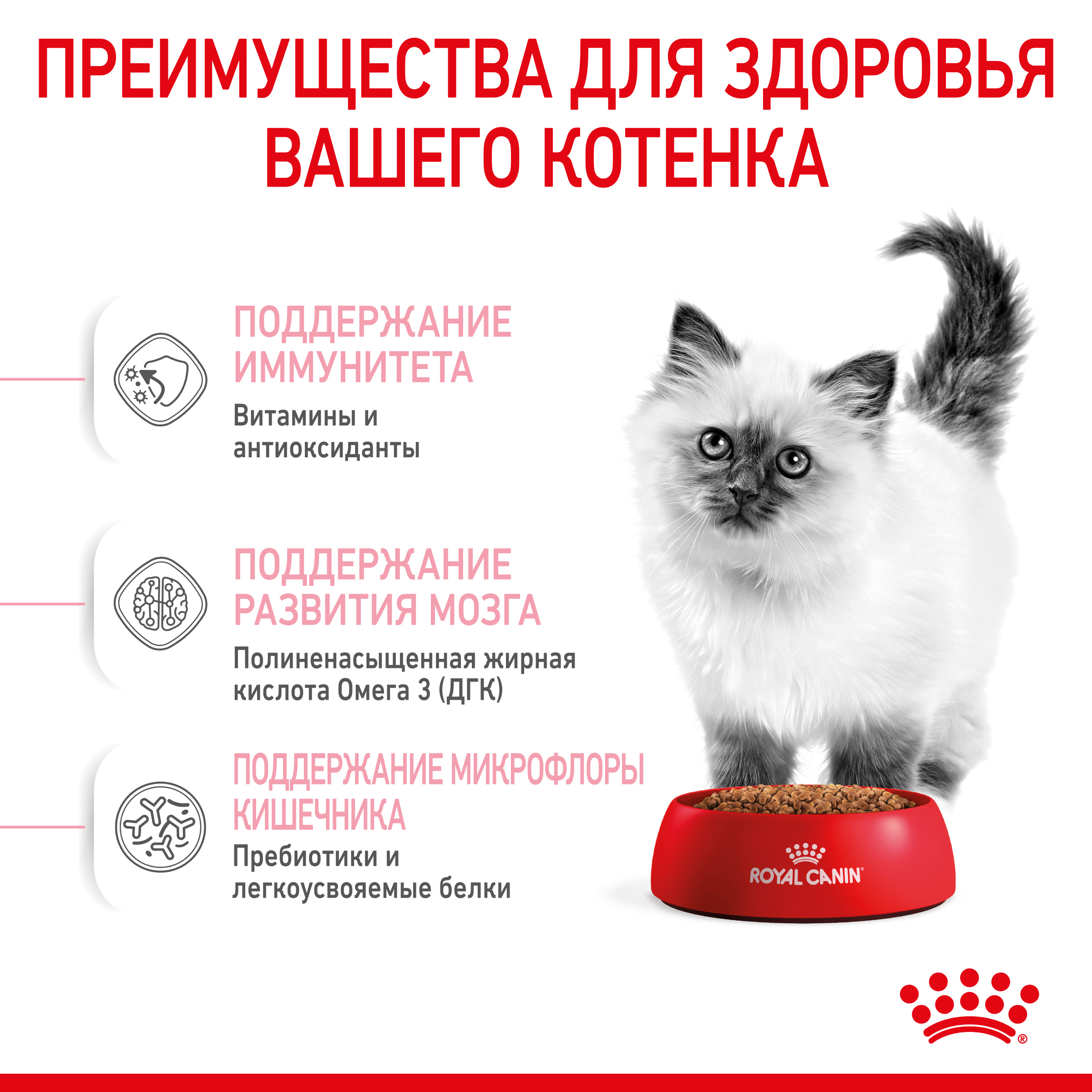 Сухой корм для кошек и котов купить с доставкой | Интернет-зоомагазин  PetFood.ru