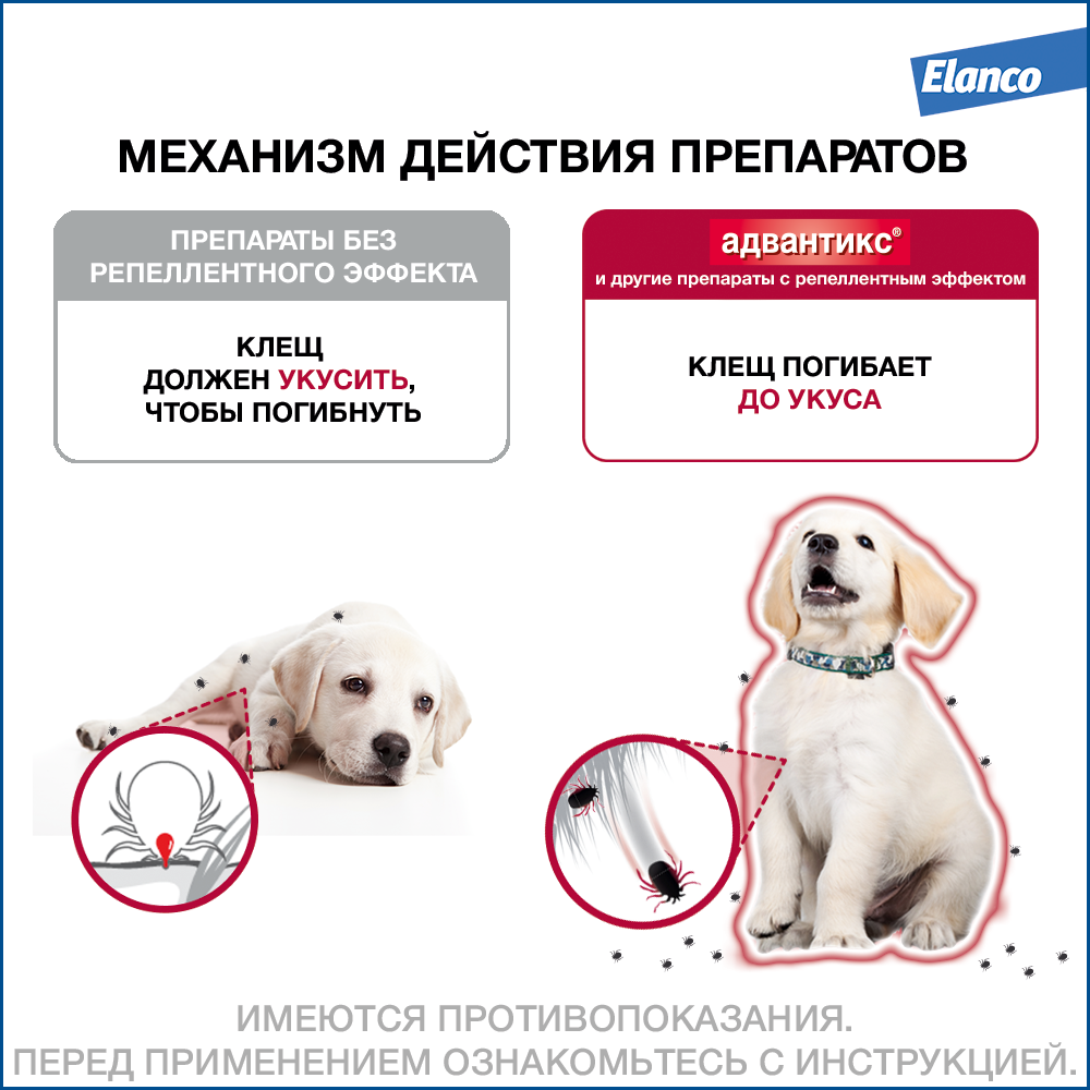 6.Advantix dog 25-40 1pip_others