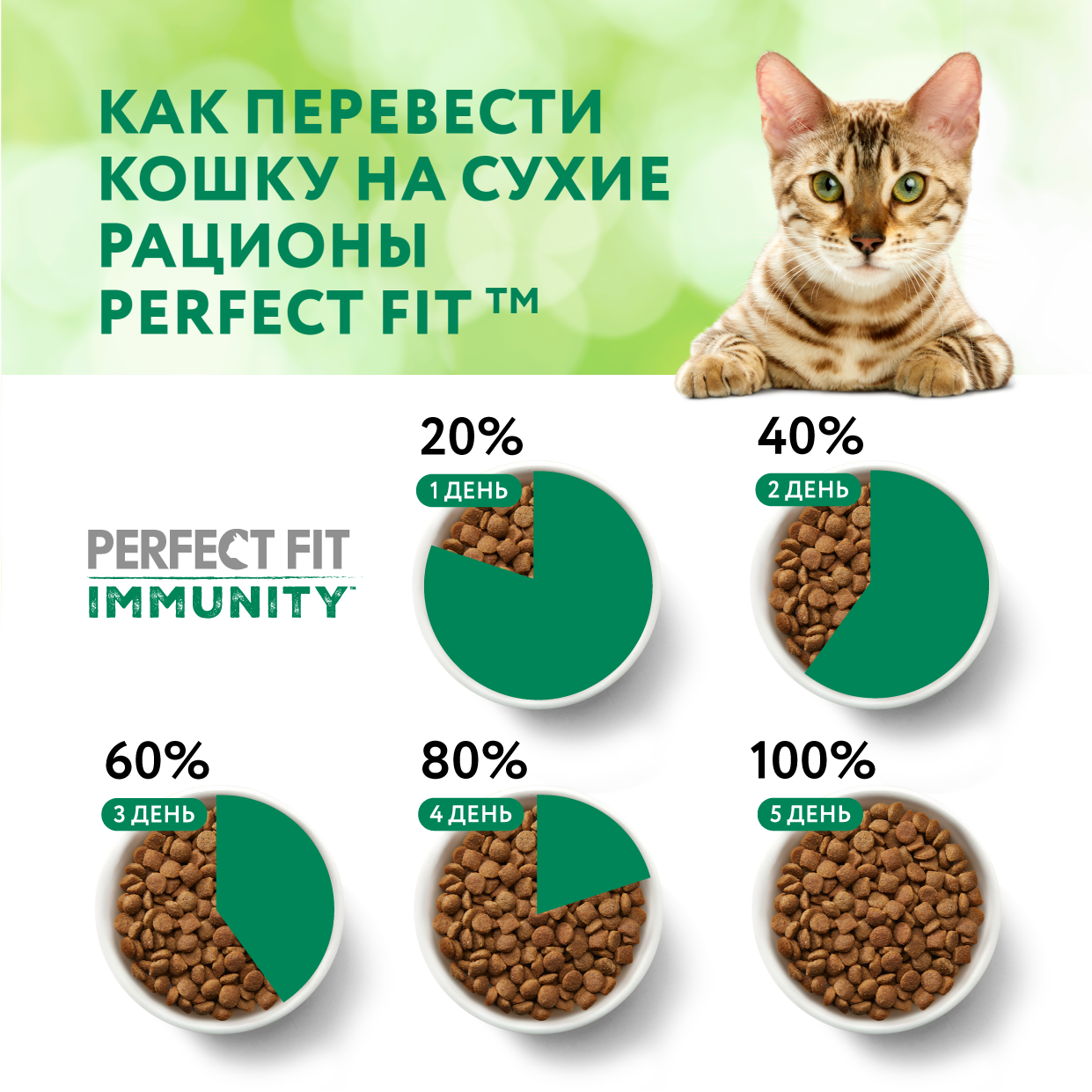 PF_Imm_ECOMM_2023.04.12_20