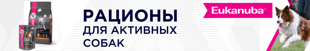 1920х320_11-1536x256.png 1920х320_11-1536x256.png