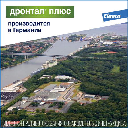 7. Drontal dog_Germany